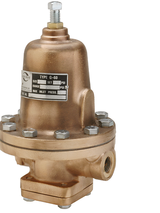 Process Gas Service Regulators | Cash Valve US